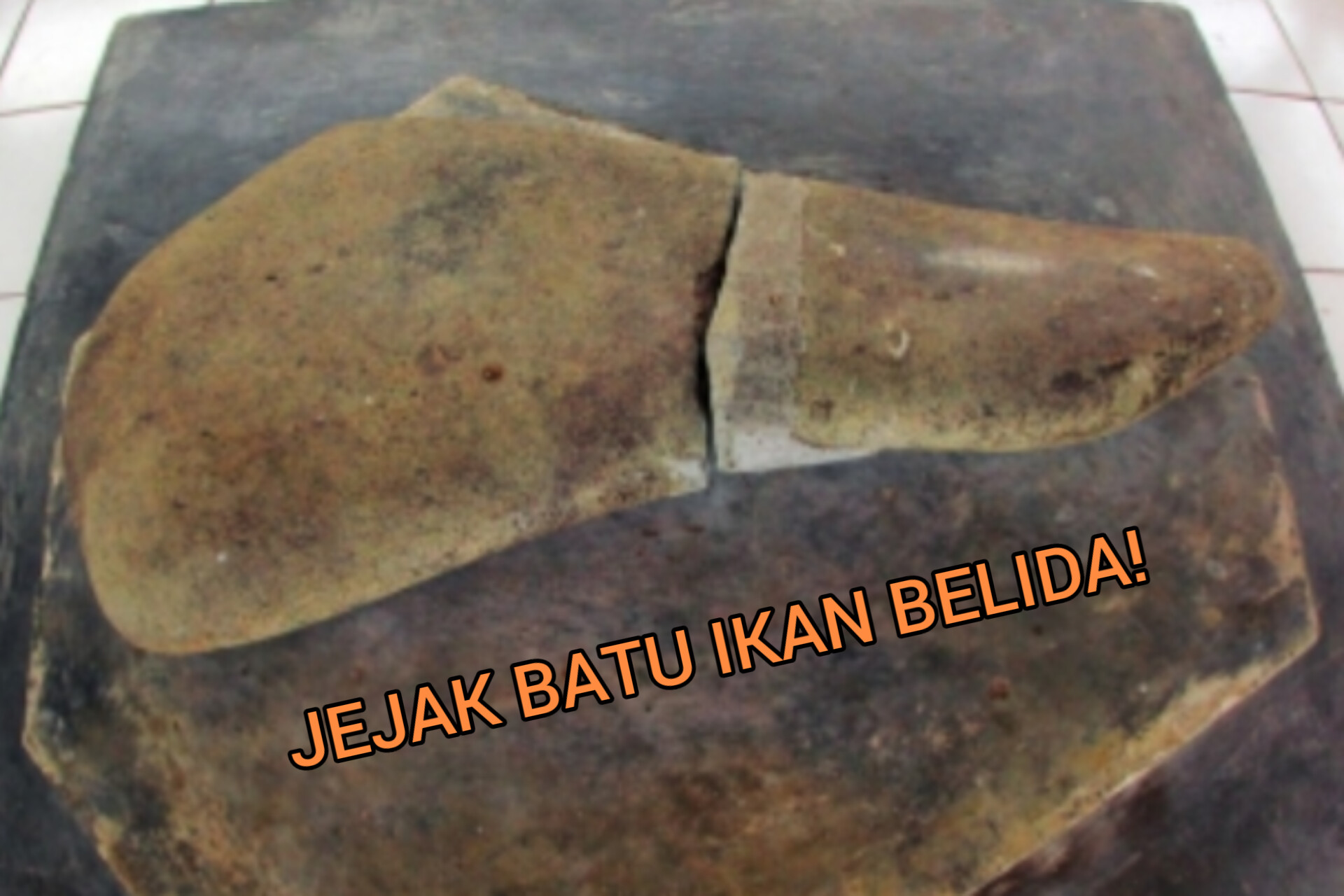 Legenda Batu Ikan Belida: Kehidupan dan Keajaiban di Desa Kutaringin