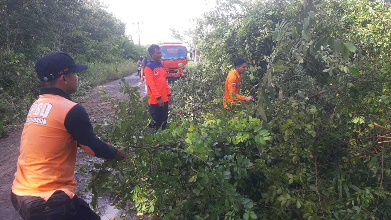 Tanggap Darurat BPBD Muba: Jalan Sekayu - Bandar Jaya Kembali Normal setelah Hujan Deras 