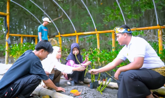 Ekowisata Hutan Mangrove Purba Jerowaru Kerek Ekonomi Masyarakat