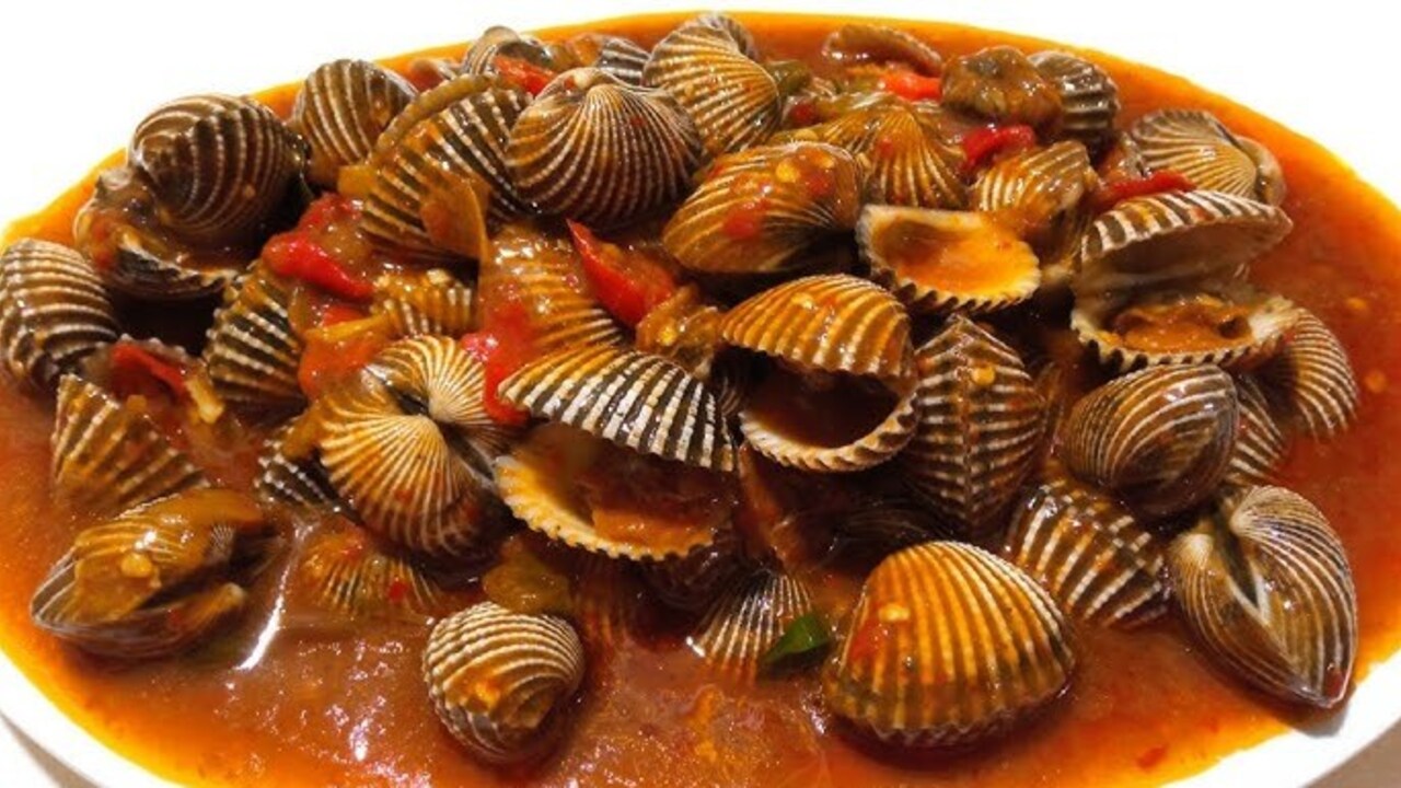 Kerang Dara Saus Padang: Sensasi Pedas dan Gurih yang Menggugah Selera