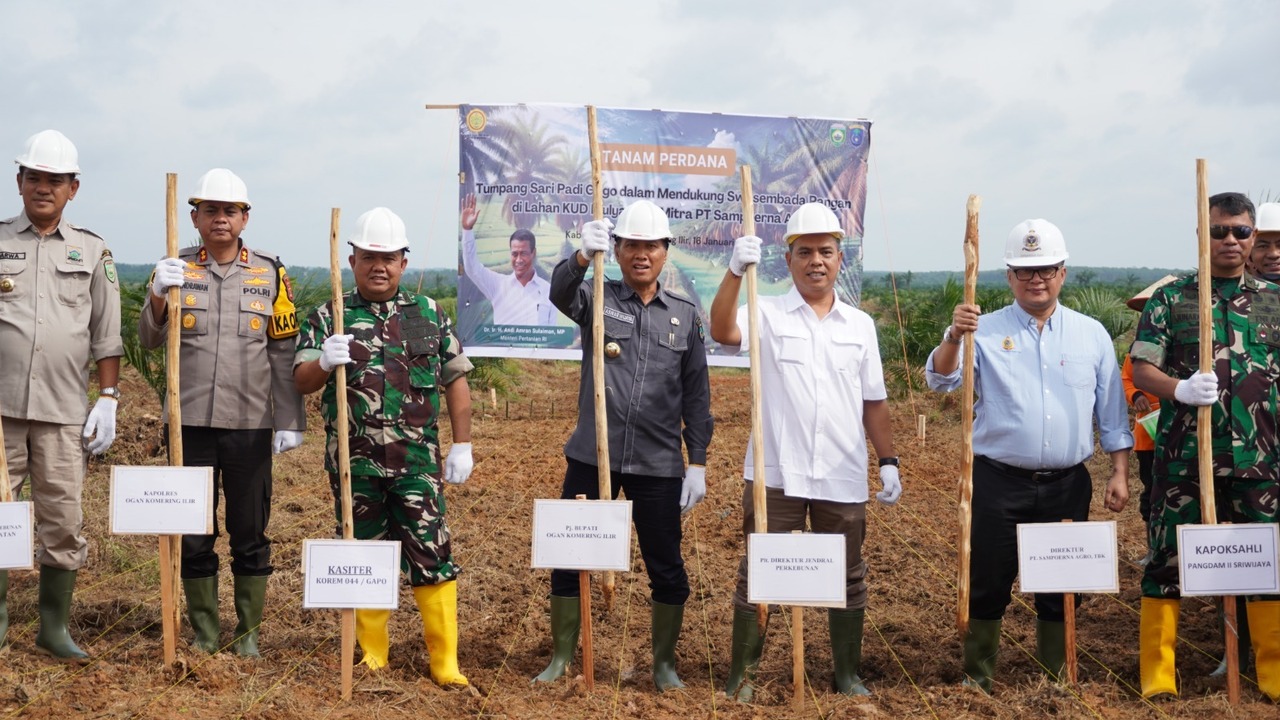 Lahan PSR di OKI Ditanami Padi Gogo: Dukung Swasembada Pangan Prabowo