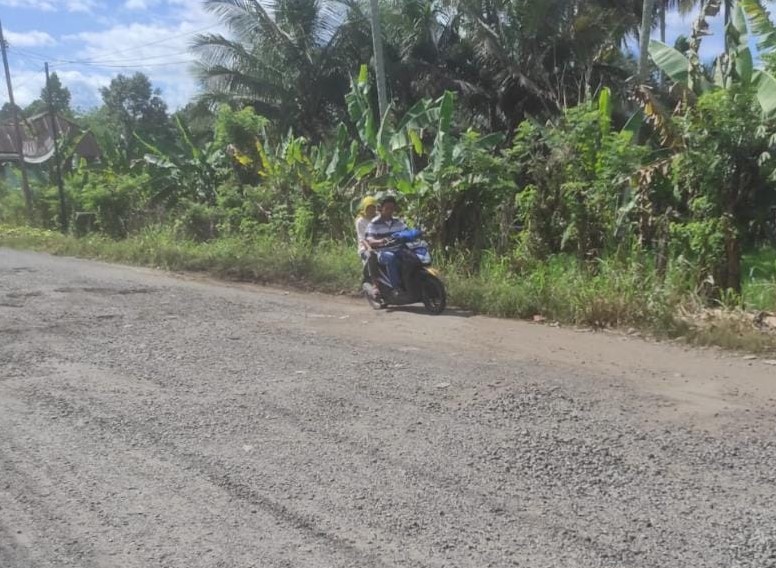 Bingung Pilih Provinsi Otonomi Baru di Sumatera Selatan: Kabupaten Empat Lawang di Persimpangan Jalan