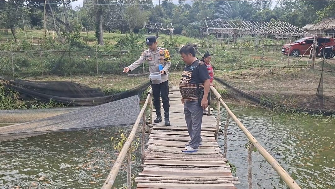 Dukung Ketahanan Pangan, Lewat Budidaya Cabai dan Ikan Nila
