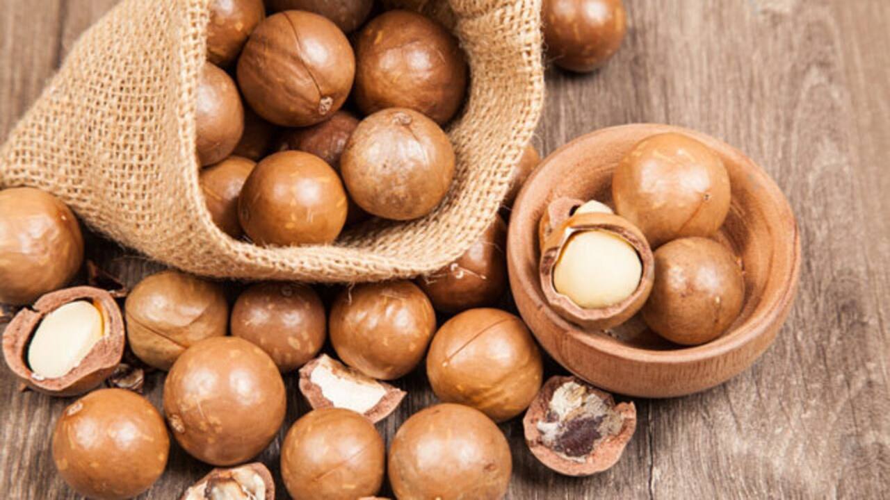 Kacang Macadamia : Si Mewah dari Alam yang Kian Diminati Dunia