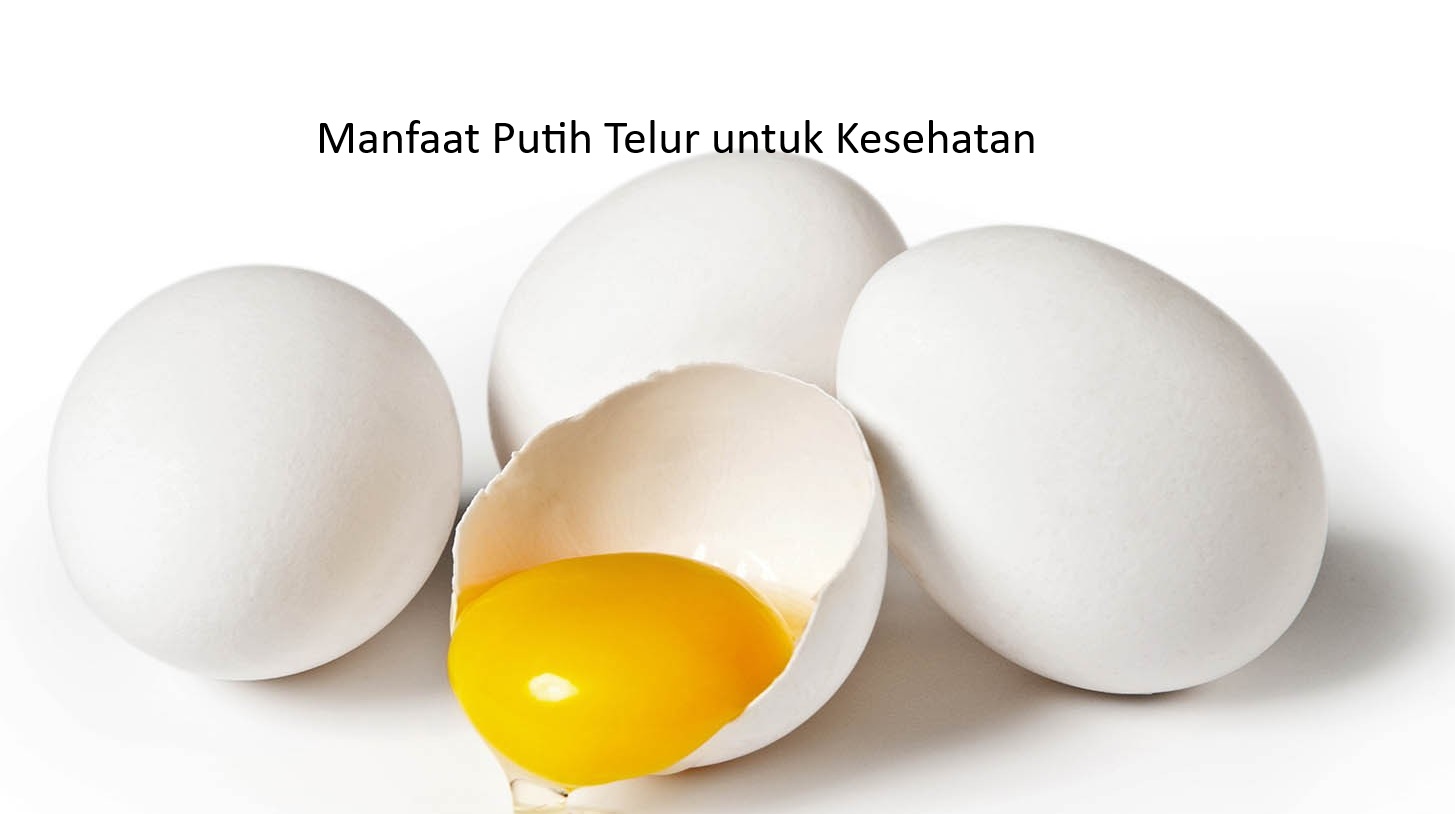 Manfaat Putih Telur Bagi Kesehatan, Salah Satunya Menurunkan Kolesterol