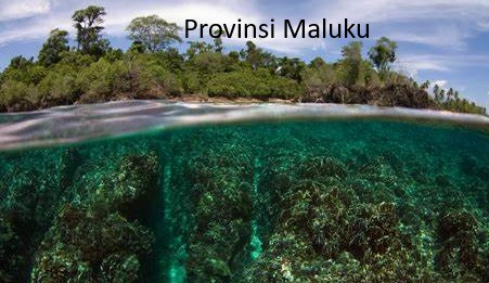 Wacana Pemekaran Wilayah: Provinsi Maluku Siap Sambut Perubahan Besar