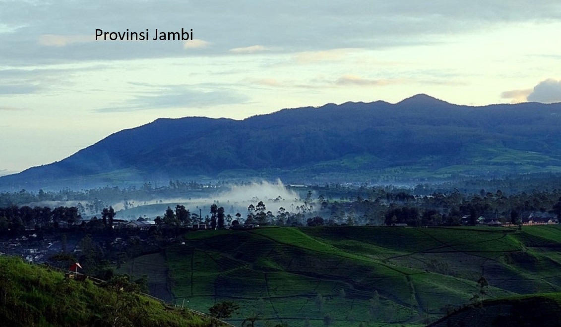 Rencana Pemekaran Wilayah di Provinsi Jambi: Menjelajahi Potensi dan Tantangan Pembangunan Baru