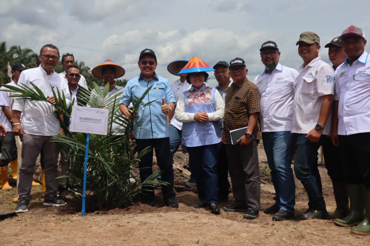 PTPN VII Betung Krawo Tanam Perdana Kelapa Sawit