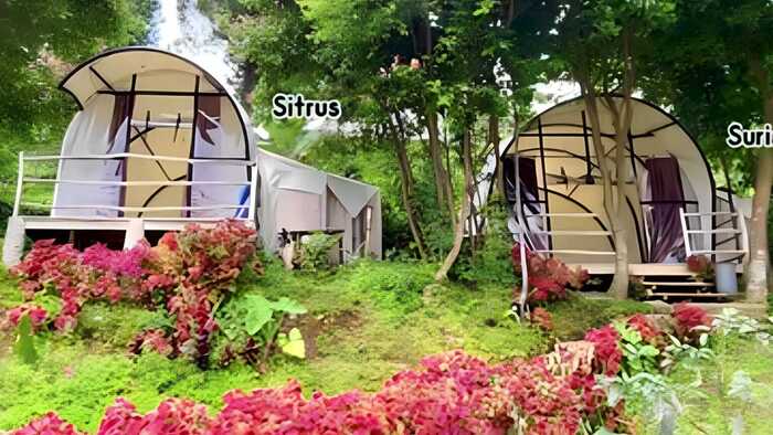 Seronoknya Liburan di Cimon Urban Camp: Keindahan Glamping Terbaru di Curuq Panjang