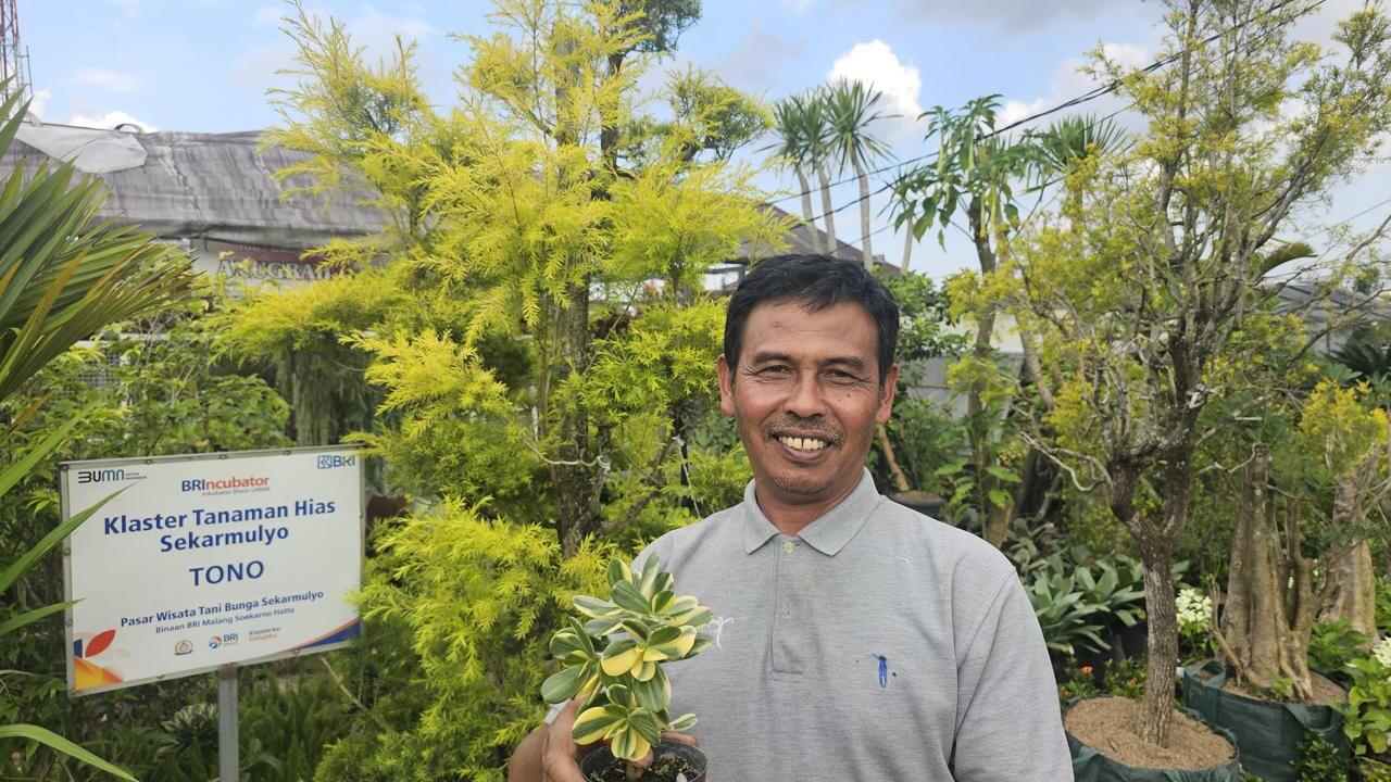 Sukses Jadi Mata Pencaharian Warga Sekitar, Ini Kisah Klaster Usaha Tanaman Hias Binaan BRI