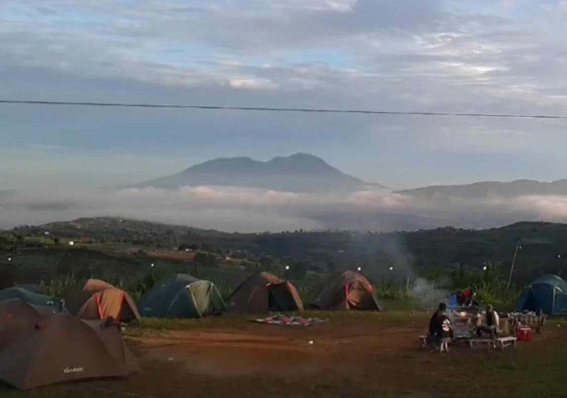 Nikmati Udara Dingin Lembah Gumanti: Berkemah di Bukit Jirak Sambil Memetik Stroberi, Hanya 57 KM dari Solok