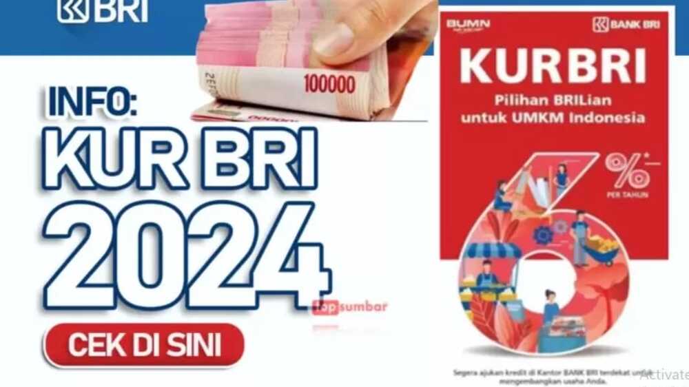 KUR BRI, Jadi Pahlawan Permodalan UMKM