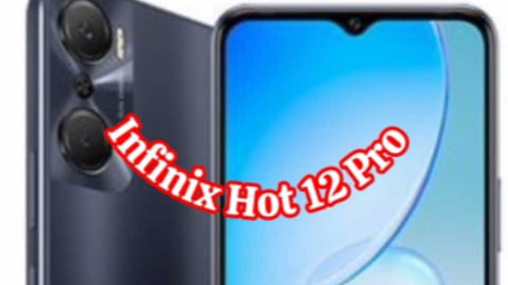 Infinix Hot 12 Pro: Menyelami Dunia Kreativitas dengan Harga Terjangkau