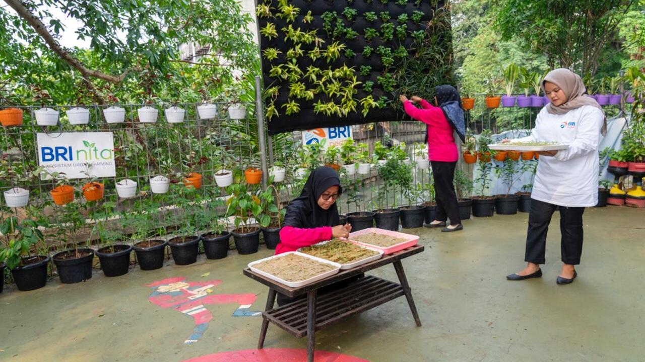 BRI Diakui atas Peran Nyata dalam Urban Farming dan Pemberdayaan Perempuan