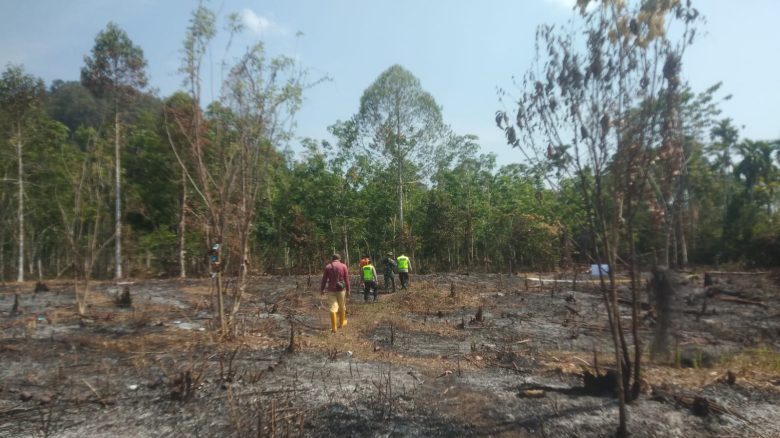 Karhutla Kembali Terjadi di Kabupaten OKU