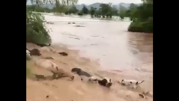 550 Orang Tewas Akibat Banjir Bandang di Pakistan