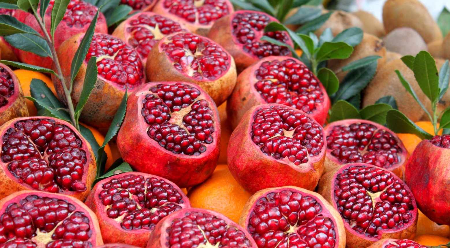 Kulit Buah Delima Merah Dapat Menjaga Kesehatan Otak dan Saluran Pencernaan