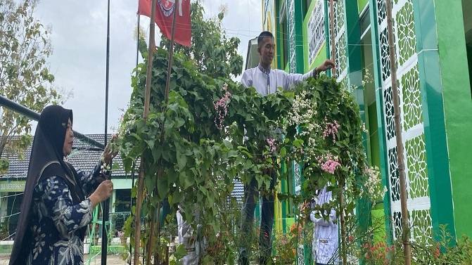 Manfaatkan Lahan Sempit Untuk Bercocok Tanam