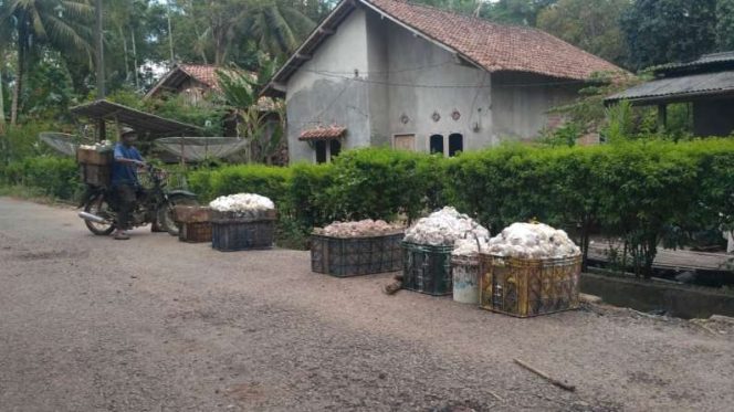 Meski Harga Naik, Petani Karet di OKU Belum Bisa Tersenyum