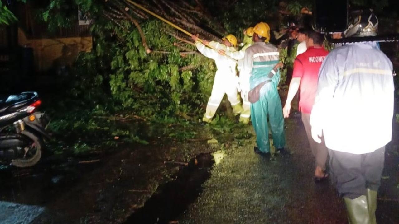 BPBD OKU Evakuasi Lima Batang Pohon Tumbang Akibat Angin Kencang
