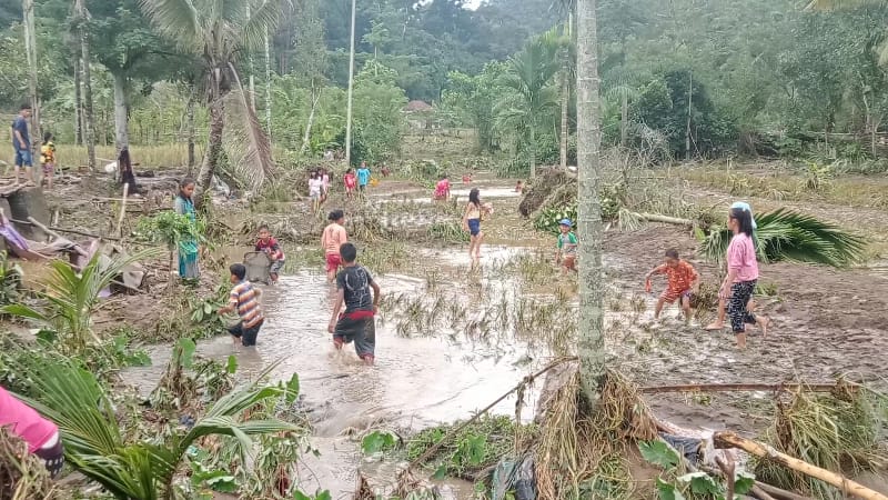 Desa Lubuk Nipis dan 10 Hektar Sawah Terendam