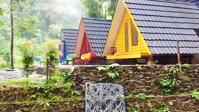 Harga Inap 300 Ribuan, Inilah Keunikan Glamping Wonderful Citamiang Puncak Bogor