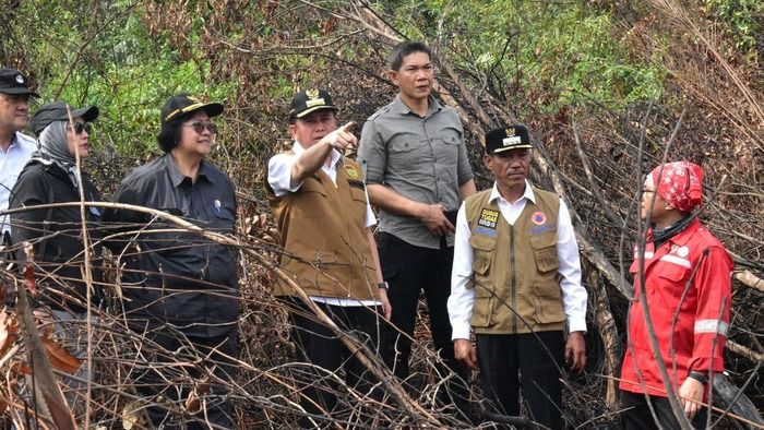 Tinjau Karhutla di OKI, Menteri LHK Sebut Penanganan Sudah Baik