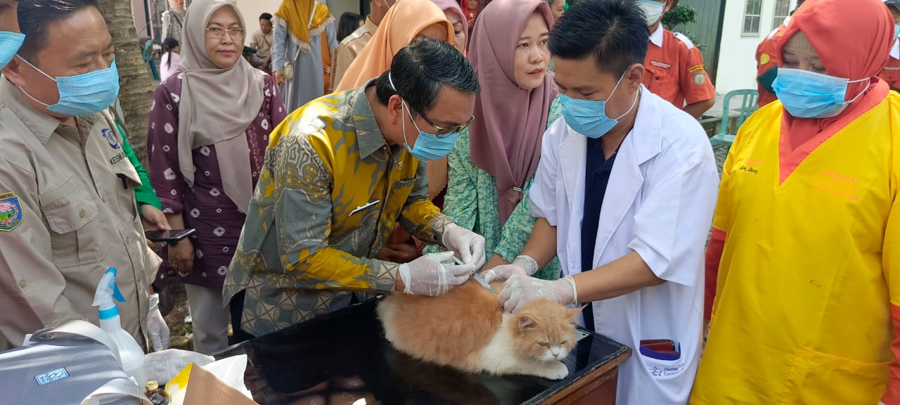 Dinas Pertanian OKU Gelar Gebyar Vaksin Hari Rabies Sedunia 2024