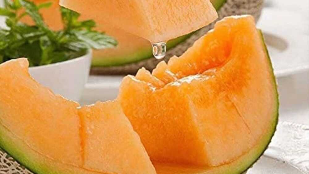 Manfaat Luar Biasa Buah Melon untuk Kesehatan dan Kecantikan