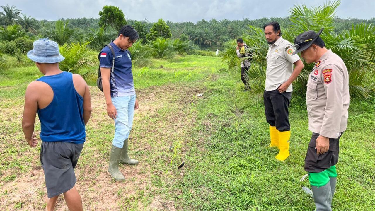 Dukung Ketahanan Pangan, Tinjau Lahan Jagung yang Bermasalah