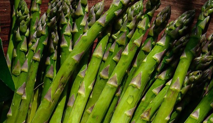 Asparagus Dapat Menyehatkan Kulit dan Mencegah Penuaan Dini