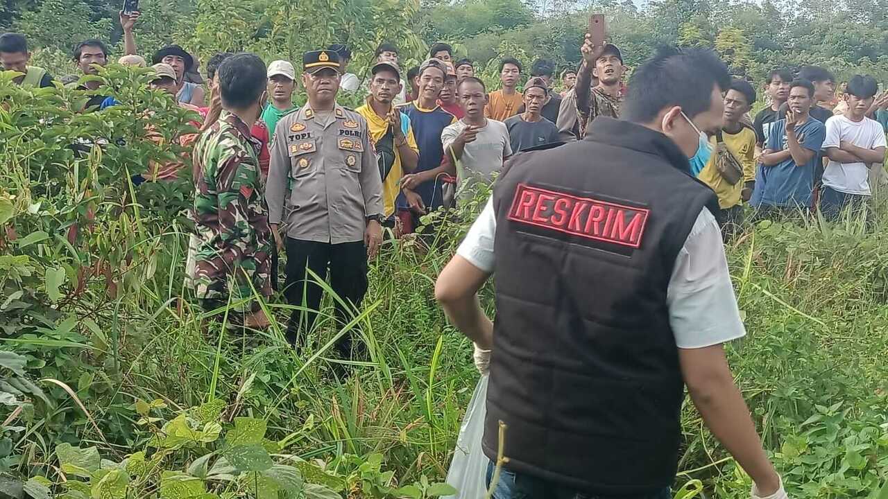 Mayat Mrs X Ditemukan di Kebun Nanas 
