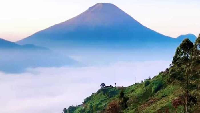 Pesona Keindahan Alam Menyapa Pagi dari Destinasi Wisata Magis Dieng Plateau Sunrise View Point