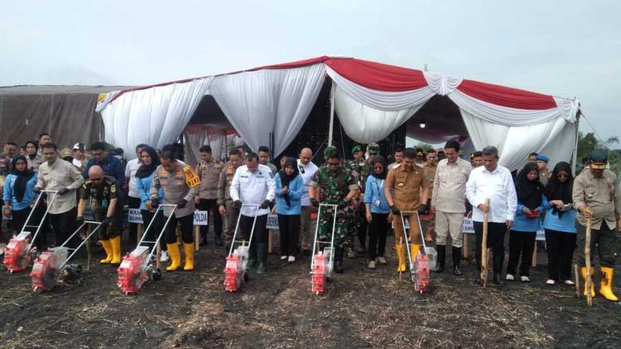 Dukung Ketahanan Pangan, Tanam Jagung Serentak Satu Juta Hektar