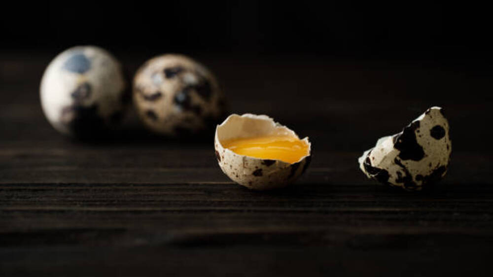 Manfaat Telur Puyuh: Pilihan Sehat dengan Kandungan Lemak Rendah