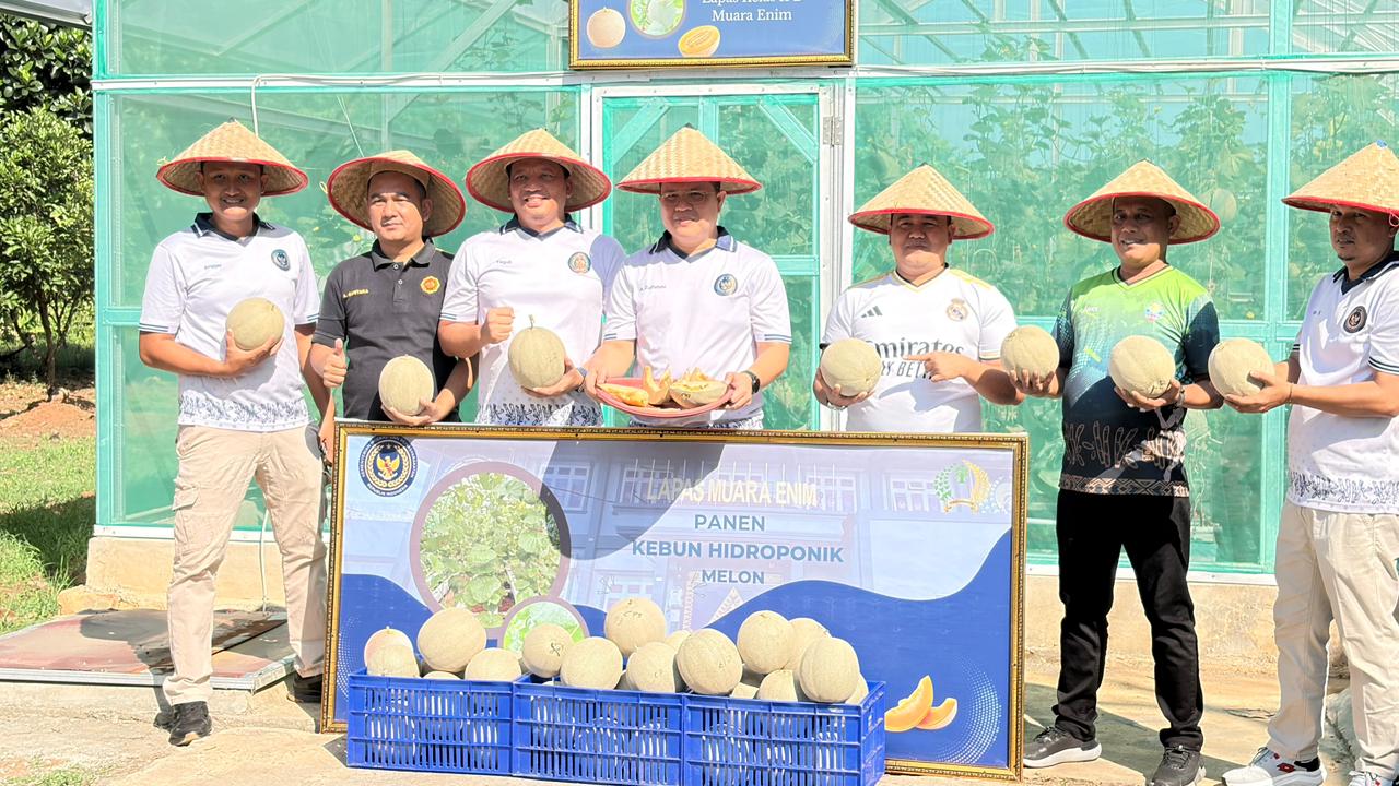 Wujudkan Ketahanan Pangan, Panen 214 Kg Melon Belanda