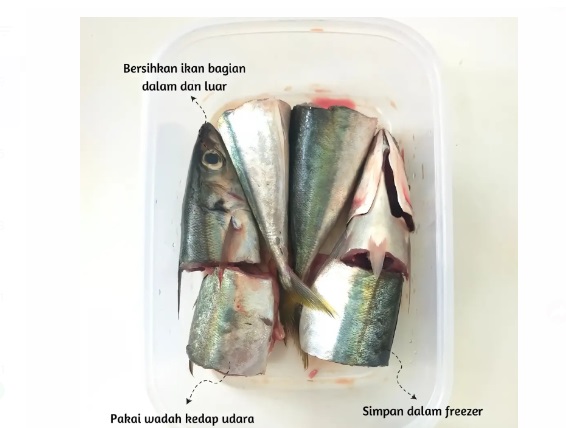 Makanan Lezat Dimulai dari Sini, Ini Tips Penyimpanan Lauk Mentah agar Tetap Segar