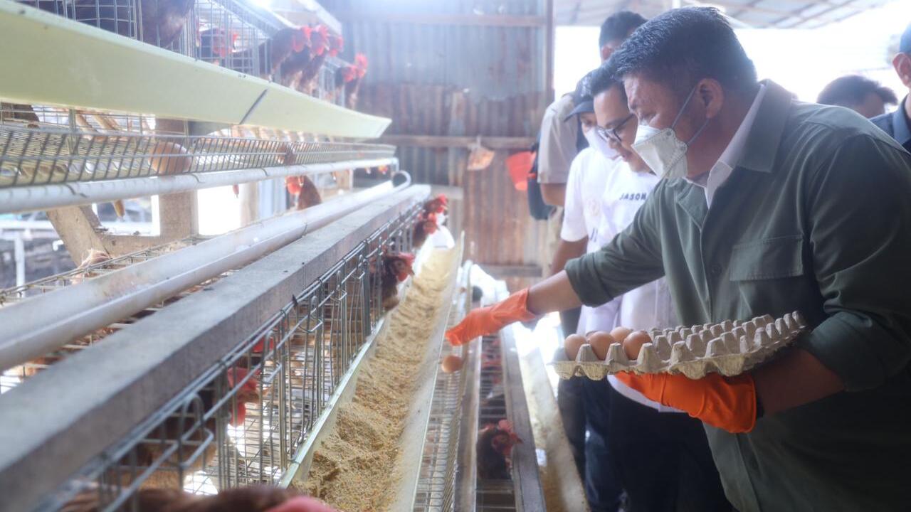 Herman Deru Kunjungi San San Farm Banyuasin, Optimis  Program Sultan Muda Sumsel. 