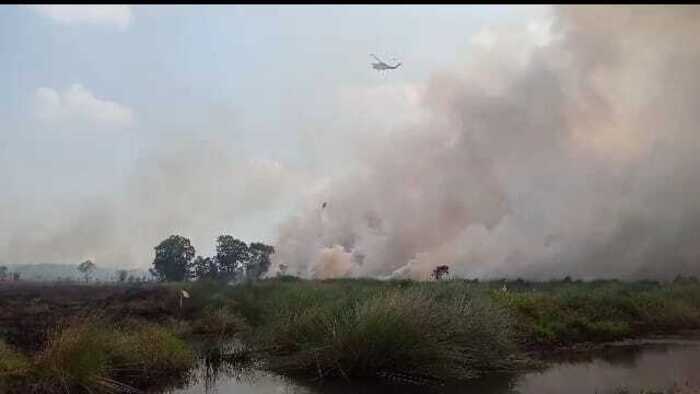 Kabut Asap Ancam Pengendara Tol Palindra, 2 Hari 30 Hektar Lahan Tidur Terbakar