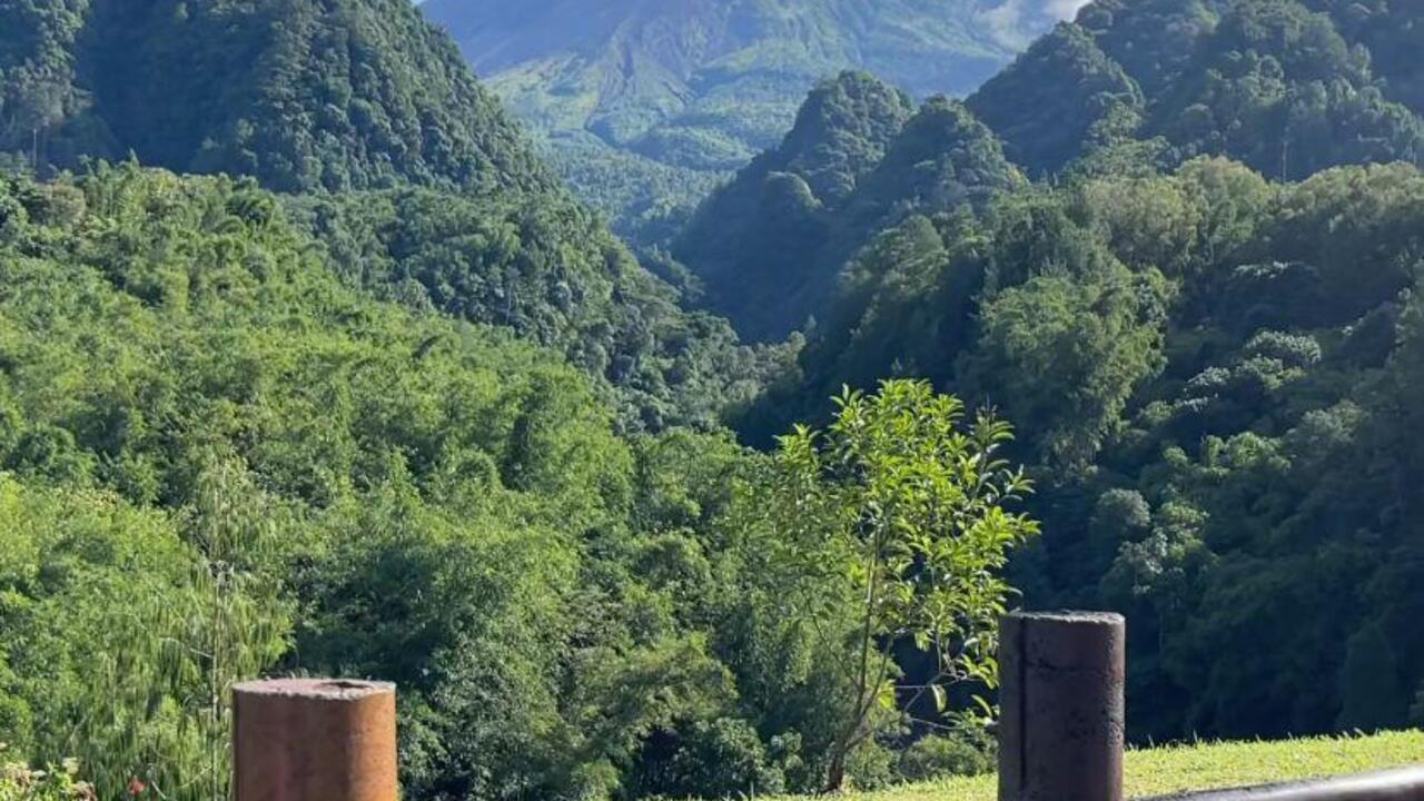 Intip Cerita Desa BRILiaN di Lereng Gunung Merapi yang Sukses Kembangkan Pariwisata Alam dan Agrikultur