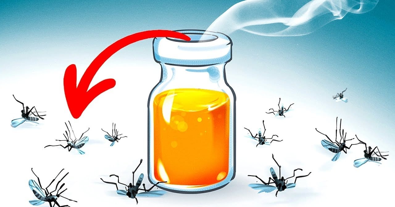 Banyak Nyamuk di Rumahmu ! Berikut Metode Usir Nyamuk, Selain Bersih- Bersih 