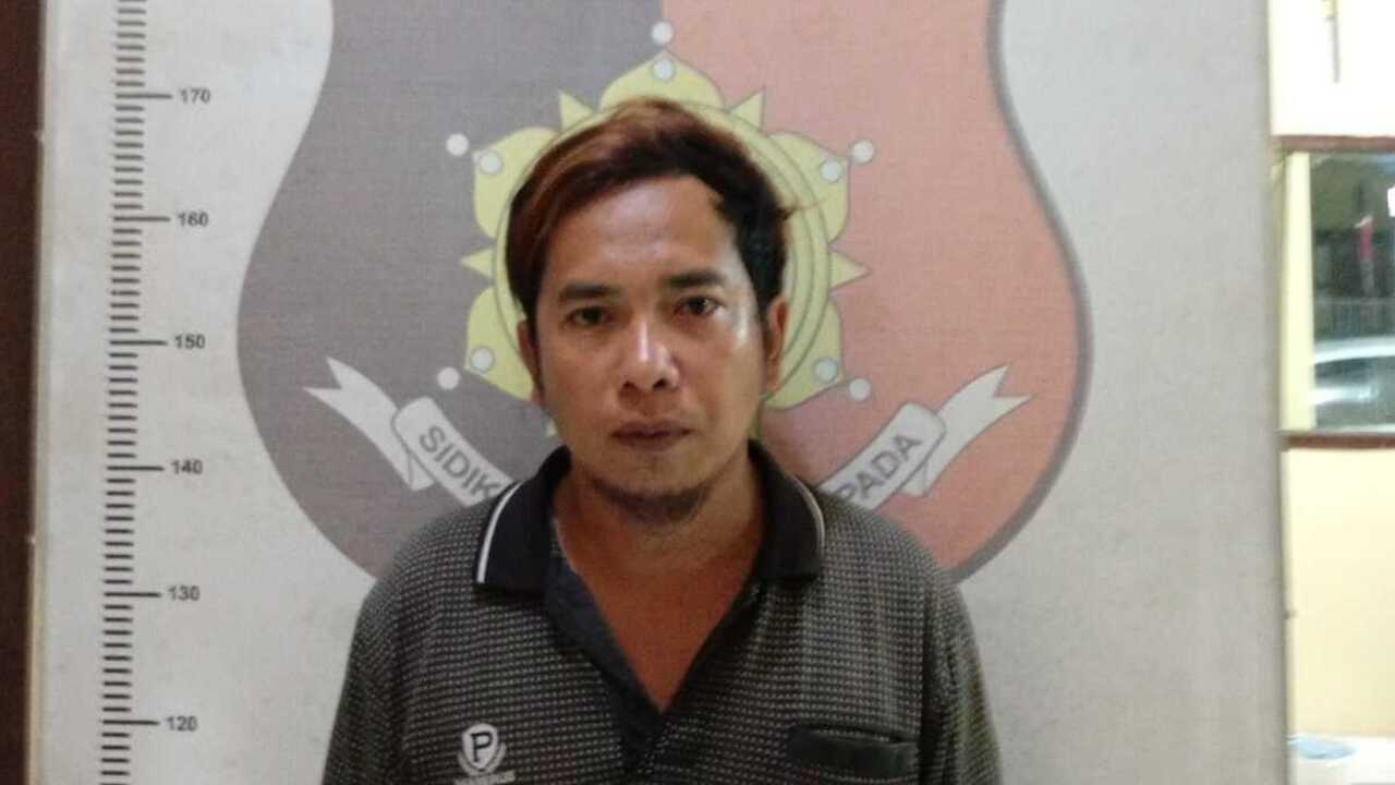Polsek Pedamaran Timur Tangkap Pencuri Sawit yang Meresahkan