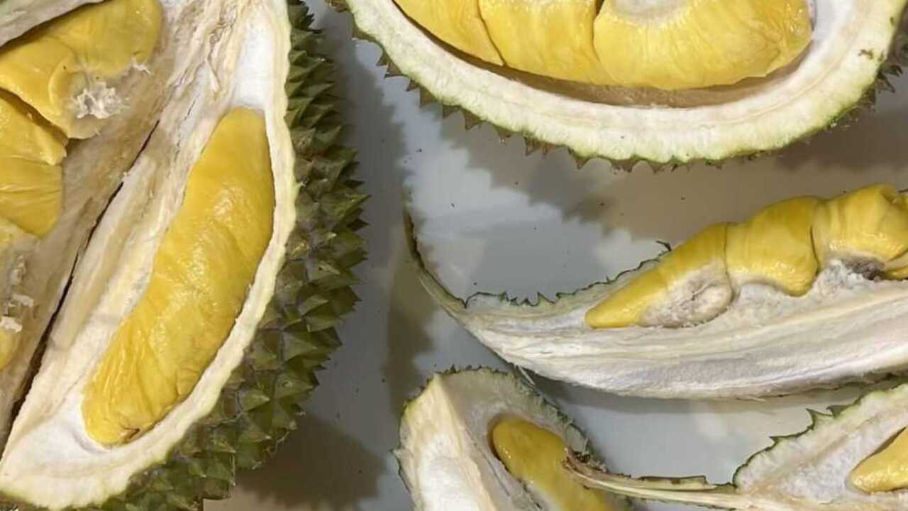 Waspadai! Ini 16 Jenis Makanan dan Minuman yang Harus Dihindari Setelah Makan Durian