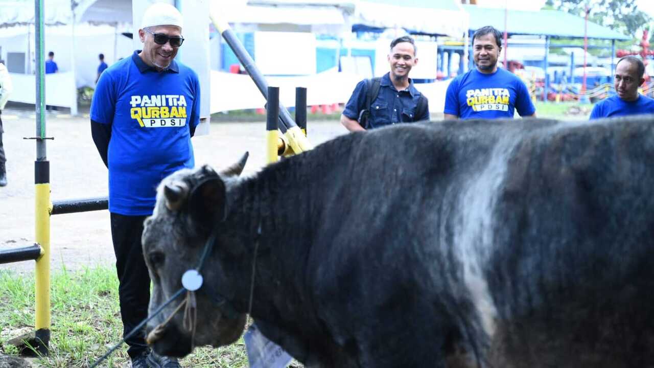 PT Pertamina Drilling Services Indonesia Salurkan 19 Sapi dan 4 Kambing Kurban di Idul Adha 1447 H