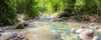 Sungai Air Hangat Malanage Di Ngada Plores Menyajikan Keindahan Alam dan Rekreasi Alami