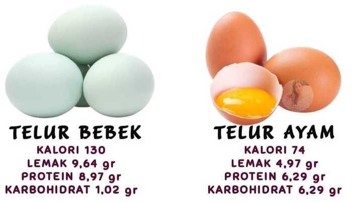 Telur Bebek atau Telur Ayam: Perbedaan yang Mudah Dikenali