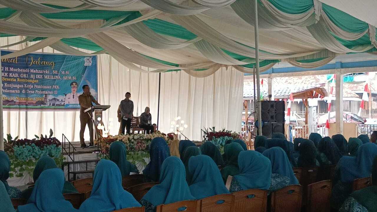 Pembuat Tikar Purun Pedamaran Mulai Sedikit, Bupati OKI Khawatir!