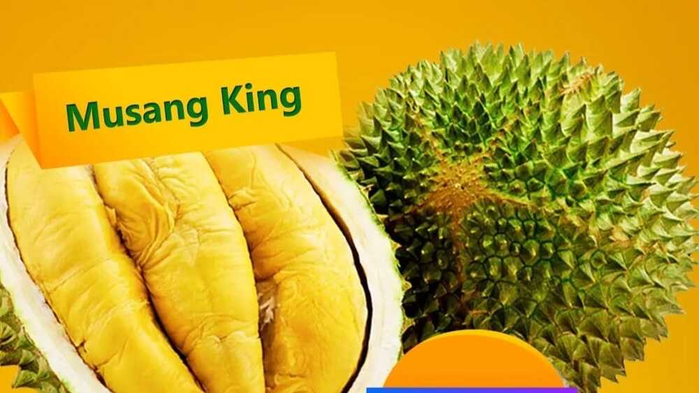 Meluncur ke Dunia Aroma: Kelezatan Durian Montong Merah, Petruk, dan Musang King yang Mendominasi di Indonesia
