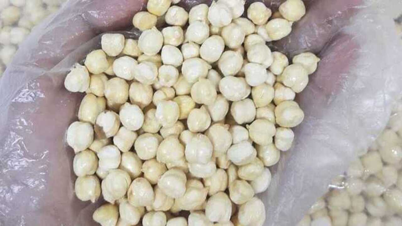 Manfaat Kacang Arab : Makanan Super yang Kaya Gizi dan Sehat