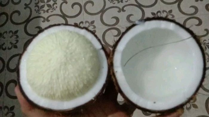 Nggak Pede Dibilang Muka Tua? Coba Pakai Masker dari Gandus Kelapa Ini Wajah Kamu Dijamin Kembali Muda